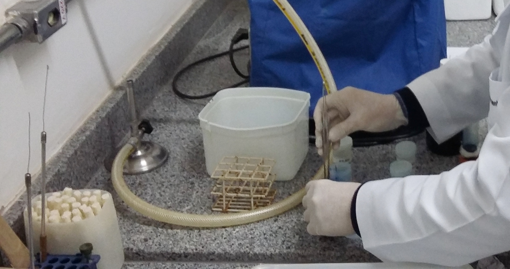 Imagem das mãos de um pesquisador manipulando materiais de laboratório.